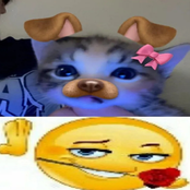 no se k hacer sin ti