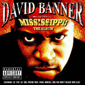 What It Do by David Banner