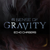 Echo Chasers
