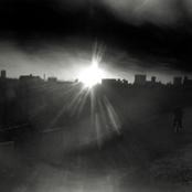 walking with the shadow