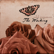 The Waiting