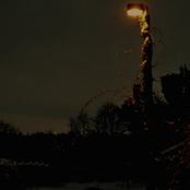 The Stars are out Tonight - Deluxe Edition