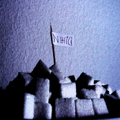 Der Zuckerberg (Single)