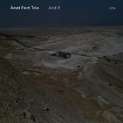 Clouds Moving by Anat Fort Trio