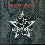 Blood Money by The Sisters Of Mercy