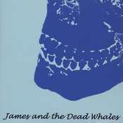 James And The Dead Whales