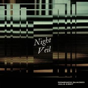 Night Veil