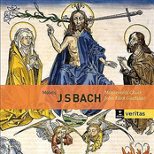 J.S. Bach: Motets