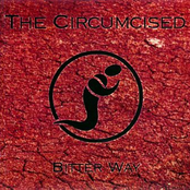 Bonus Track by The Circumcised