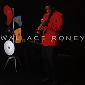Night And Day by Wallace Roney