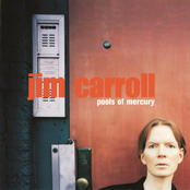 Things That Fly by Jim Carroll