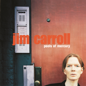 Pools Of Mercury by Jim Carroll