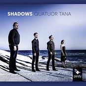 Shadows
