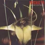 Silver And Gold by Psychic Tv