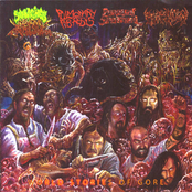 World Stories of Gore