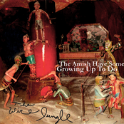 The Amish Have Some Growing Up to Do.