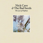 Supernaturally by Nick Cave & The Bad Seeds