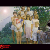 Les toma-coma a là coque