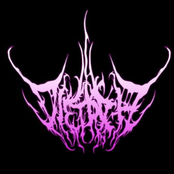 Dietrich Klassik Kollektion (2017-2019)