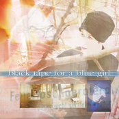 Scarecrow by Black Tape For A Blue Girl