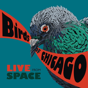 Birds of Chicago: Live from Space