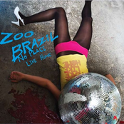 Sputnik by Zoo Brazil