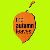 You Didn't Say a Word 7''