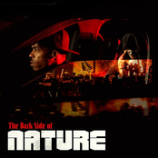 The Dark Side Of Nature
