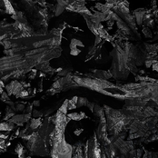 No Party For Cao Dong: 床