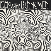 Prove Me Wrong by Echo & The Bunnymen