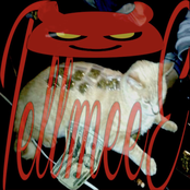 Tellmee3
