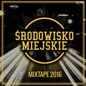 Środowisko Miejskie