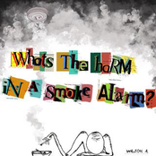 What’s the Harm in a Smoke Alarm?