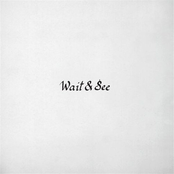Wait & See