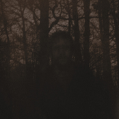 A Year of the Aural Gauge Operation