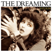 Pull Out The Pin by Kate Bush