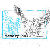memory hole