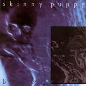 Film by Skinny Puppy