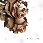 NEIGE FLEUR
