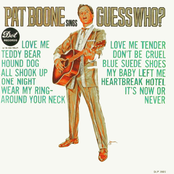 Pat Boone Sings Guess Who?
