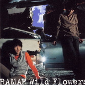 Wild Flowers by Ramar