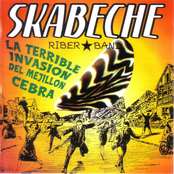 La Terrible Invasión Del Mejillón Cebra