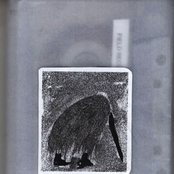 Field Recordings From Senegal & The Gambia