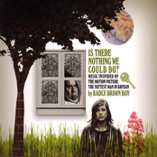 I'll Carry On by Badly Drawn Boy