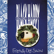 Black Happy: Friendly Dog Salad