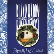 friendly dog salad