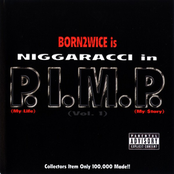 NIGGARACCI IN P.I.M.P. VOL.1