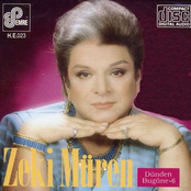 Hasret İçimde Bir Kor by Zeki Müren