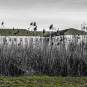 We Shall See Them Sometimes