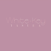 White Key